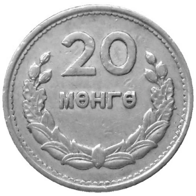 20 Möngö back