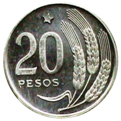 20 Pesos Pattern back