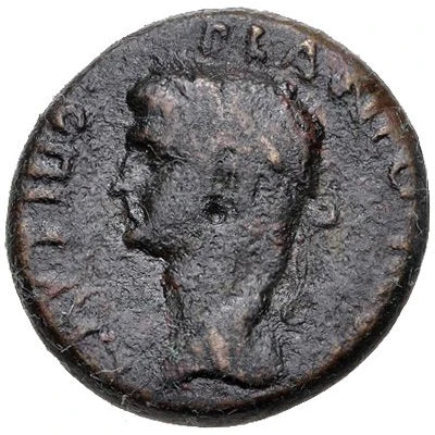 Æ20 - Tiberius Portrait facing left; Pegasus front