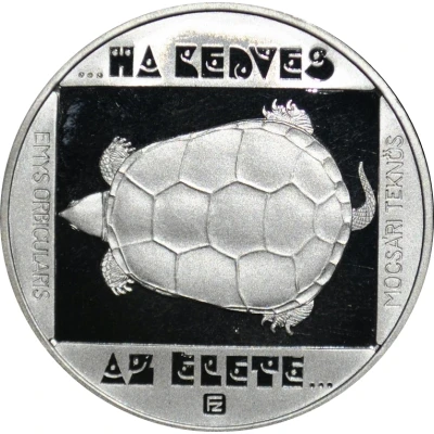 200 Forint European Pond Turtle back