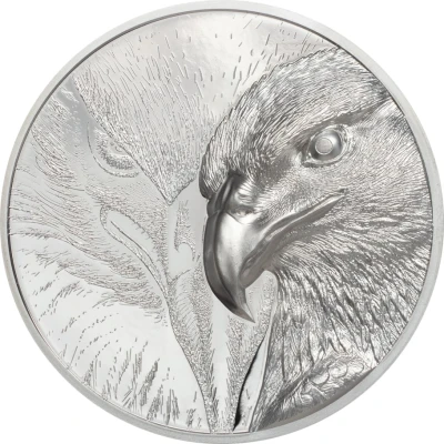 2000 Tögrög Majestic Eagle back