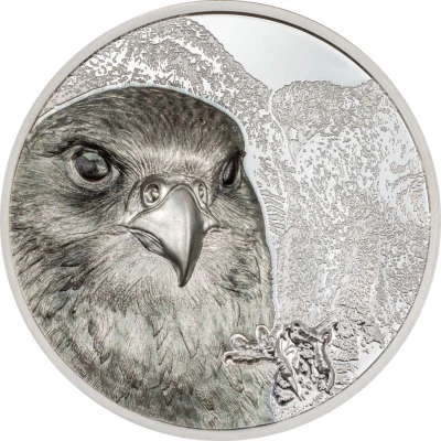 2000 Tögrög Saker Falcon back