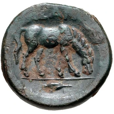 Æ20 302 BC - 301 BC back