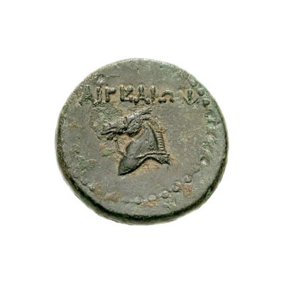 Æ21 - Antiochos IV Epiphanes 175 BC - 164 BC back