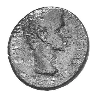 Æ21 - Tiberius as Caesar Parsley wreath front