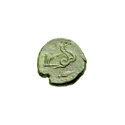 Æ21 258 BC back