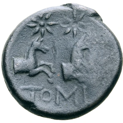 Æ22 Countermarked 200 BC - 101 BC back