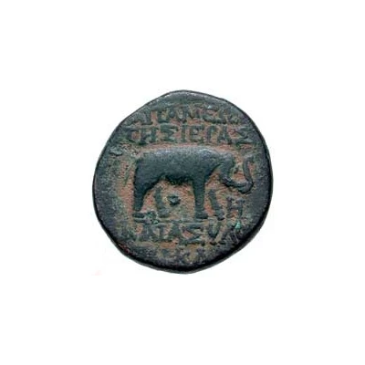 Æ22 59 BC - 58 BC back