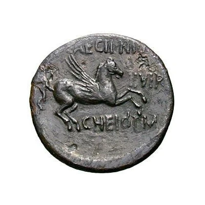 Æ22 34 BC - 31 BC back