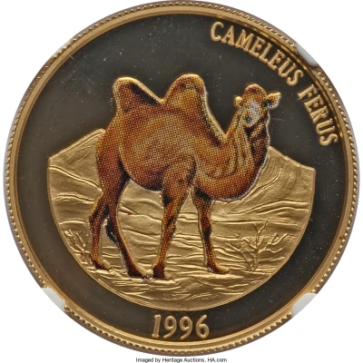 25 000 Tögrög Camel back