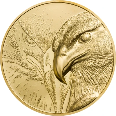 25 000 Tögrög Majestic Eagle back