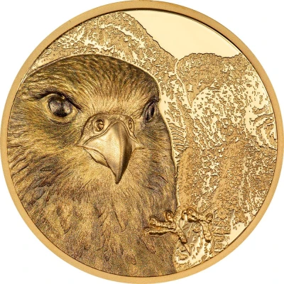 25 000 Tögrög Saker Falcon back