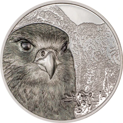 25 000 Tögrög Saker Falcon back