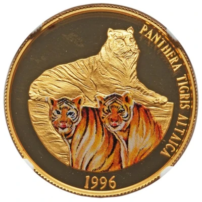 25 000 Tögrög Tiger back