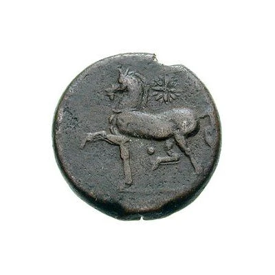 Æ25 - Adherbal 118 BC - 112 BC back