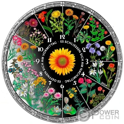 25 Dollars Floral Clock back