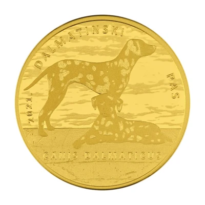 250 Kuna Dalmatian Dog back