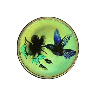 2500 Dobras Hummingbird hologram back