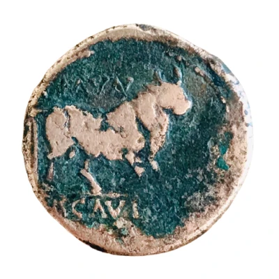 Æ28 - Augustus Ercavica 27 BC - 14 AD back