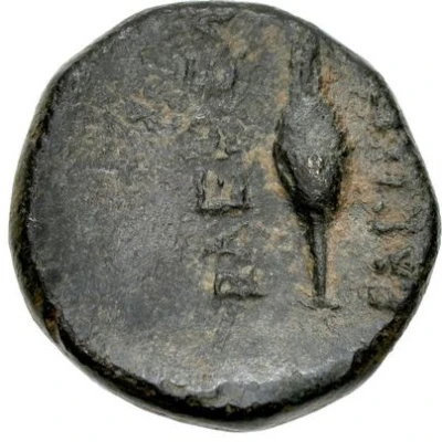 4 Chalkoi - Artavasdes II Cypress tree 35 BC - 34 BC back