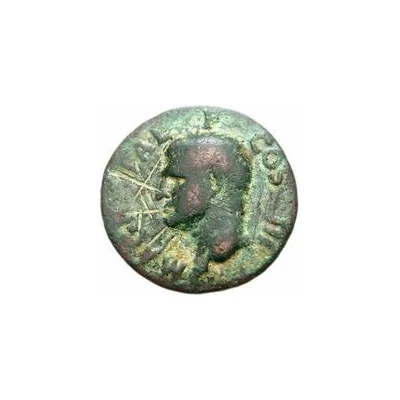 42 Nummi Countermark; As of Agrippa, 45-12BC, honoured by Caligula, front