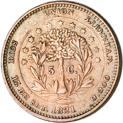 5 Centavos Pattern back