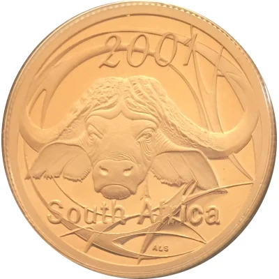 5 Cents Buffalo - Power of Africa front