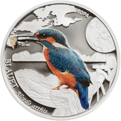 5 Diners Eurasian Kingfisher back