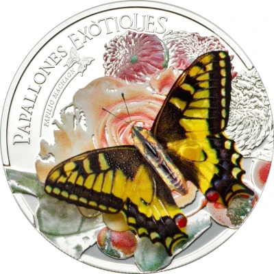 5 Diners Swallowtail Butterfly back