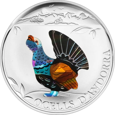 5 Diners Western Capercaillie back