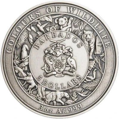 5 Dollars Australian Koala front