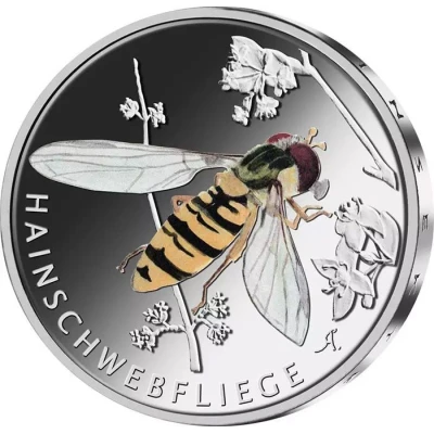 5 Euros Grove hoverfly back