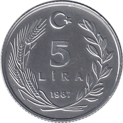 5 Lira back