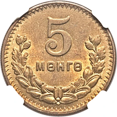 5 Möngö back