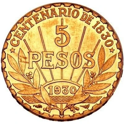 5 Pesos Pattern back