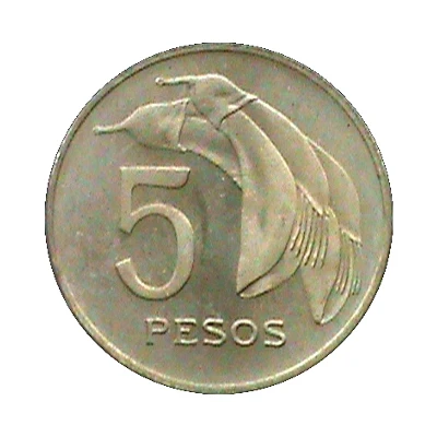 5 Pesos Pattern back