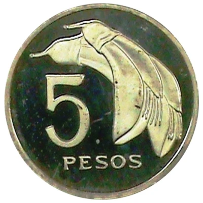 5 Pesos Pattern back