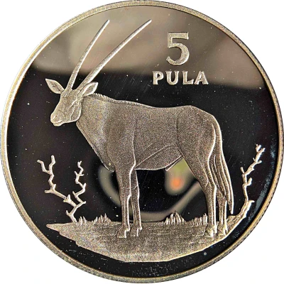 5 Pula Gemsbok back