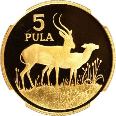 5 Pula Wildlife back