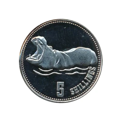 5 Shillings Hippopotamus back