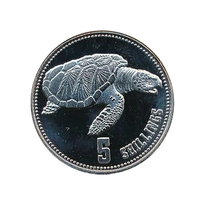 5 Shillings Sea Turtle back