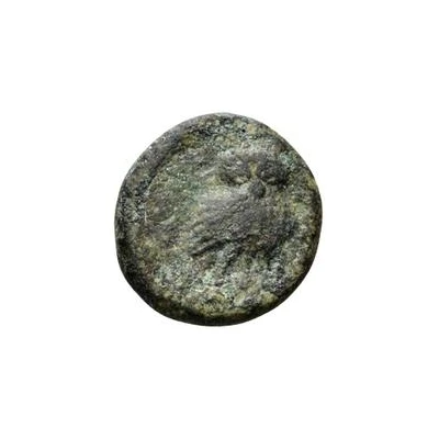 5 Units Head of Apulu 301 BC - 250 BC back