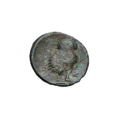 5 Units Head of Hercle 301 BC - 250 BC back