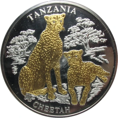 50 Dollars Tanzania Cheetah back