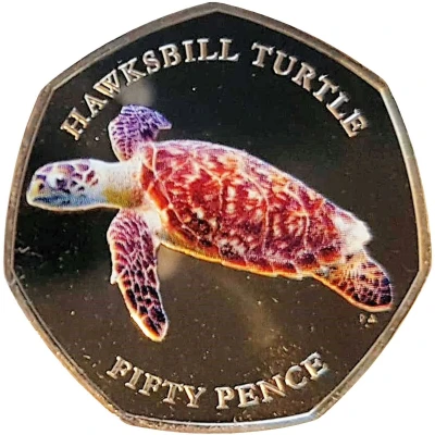 50 Pence - Elizabeth II Hawksbill turtle back