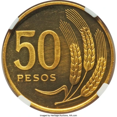 50 Pesos Pattern back