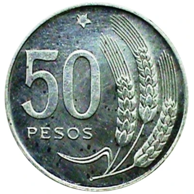 50 Pesos Pattern back