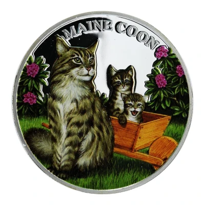 500 Amafaranga Maine Coon back