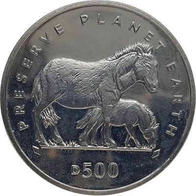 500 Dinara Przewalskii Horses back