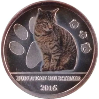 500 Francs CFA European Shorthair Cat back